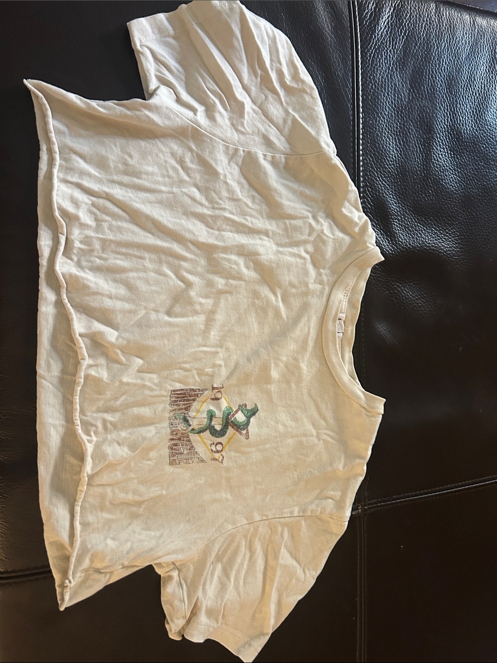 Garage Cream Short Sleeve Graphic Tee with Green Accent